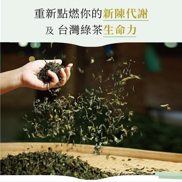 【發現茶】兒茶素綠茶2盒、促進新陳代謝、30秒冷泡茶(6gx30入/盒 茶包)