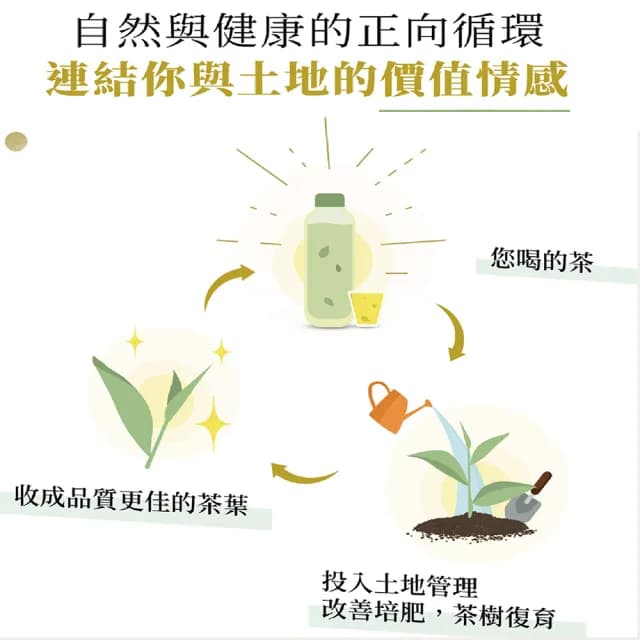 【發現茶】兒茶素綠茶2盒、促進新陳代謝(6gx30入/盒 茶包)