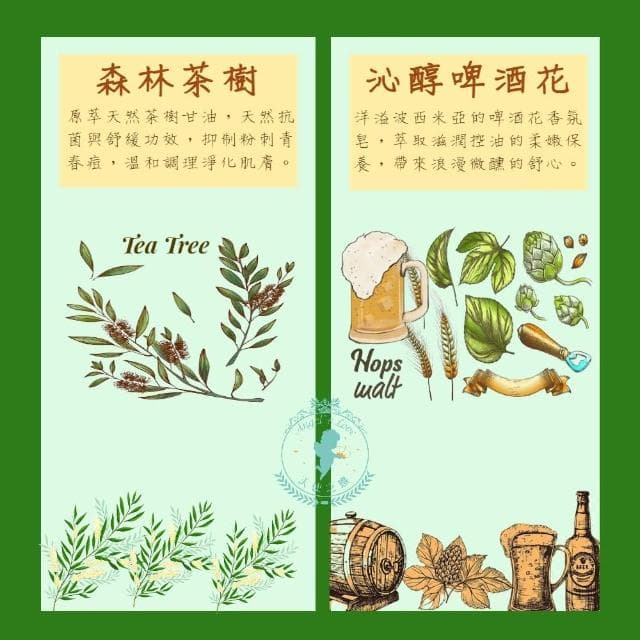 【BOEMI】花醇姿影茶樹啤酒花植萃皂105g(來自捷克頂級植萃保養潤膚手工香皂禮盒)