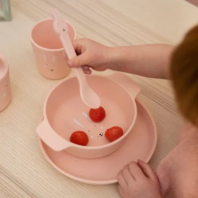 【Trixie 比利時】動物造型矽膠餐碗 多款可選(副食品 餐具)