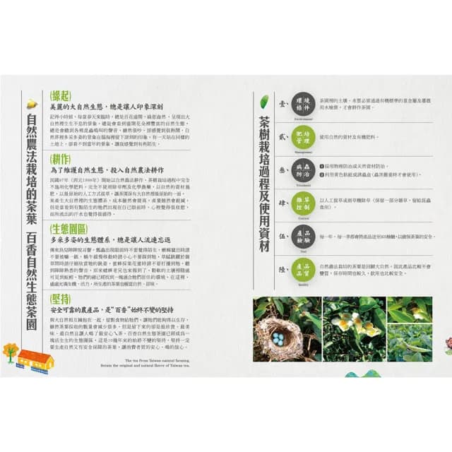 【百香】綠茶三角立體茶包3gx16入 1罐 自然農法 茶包(100%台灣茶 百香茶葉 綠茶 茶包 年節送禮)