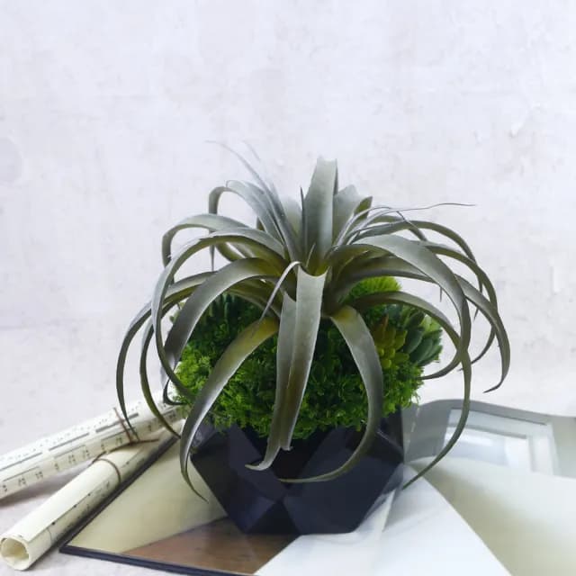 【HUGO DECO 榆果傢飾】灰綠空氣鳳梨多肉植栽(擬真植物/禮物/綠化/永不凋零/佈置/人造植栽)