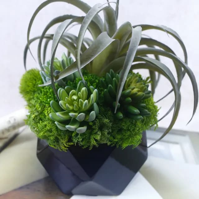 【HUGO DECO 榆果傢飾】灰綠空氣鳳梨多肉植栽(擬真植物/禮物/綠化/永不凋零/佈置/人造植栽)