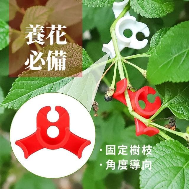 園藝植物折彎器5入(不傷植物 光照訓練輔助器 彎曲器 植物生長訓練器 盆栽 盆景工具 彎枝器 固定器)