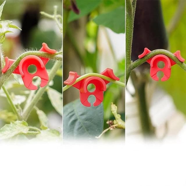 園藝植物折彎器5入(不傷植物 光照訓練輔助器 彎曲器 植物生長訓練器 盆栽 盆景工具 彎枝器 固定器)