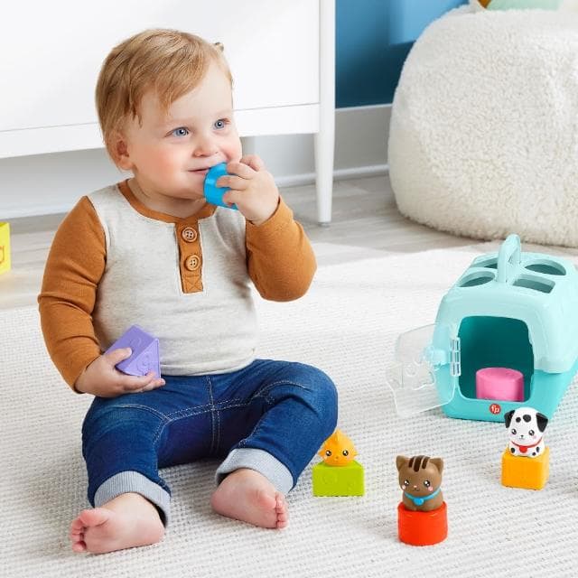 【Fisher price 費雪】形狀分類寵物籠(嬰兒玩具/彌月禮/早教啟蒙/幼兒玩具)