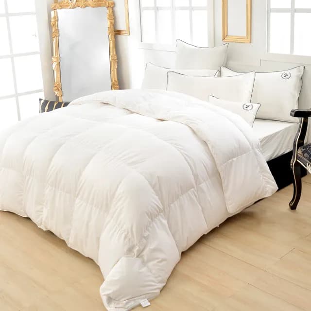 【La Belle】La Belle 95/5波蘭可水洗天然輕羽絨暖冬被1050g(特大 240x210cm)