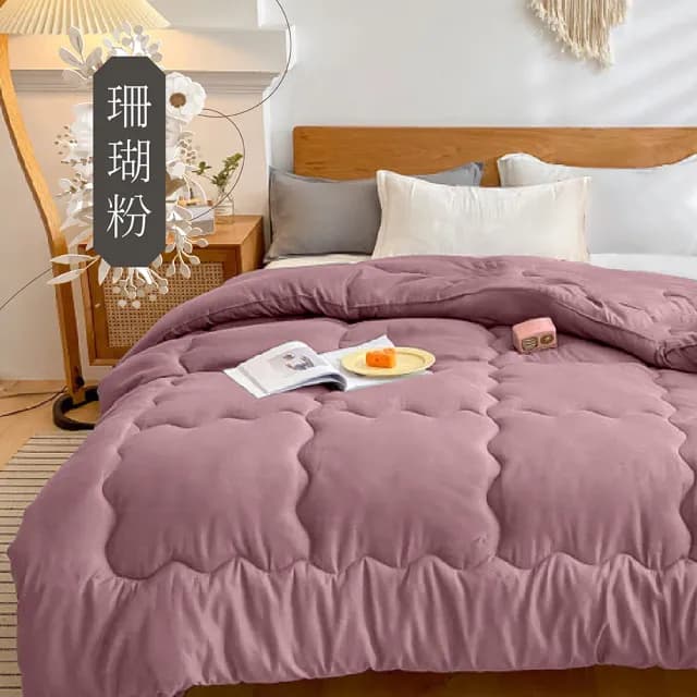 【日禾家居】買一送一 石墨烯保暖可水洗被2.5KG 棉被 冬被(雙人180X210cm 多色選)