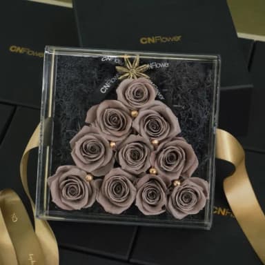 【CNFlower 西恩】ROSY CHRISTMAS TREE-灰棕 恆星花禮(送禮推薦/永生花/浪漫/驚喜/聖誕限定)