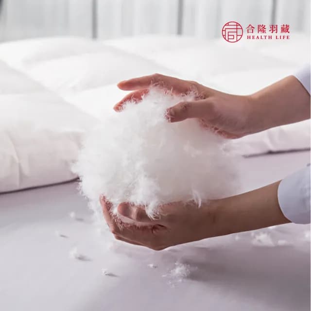 【合隆羽藏】CAS台灣原產75%白鴨絨被｜中保暖｜雙人(四季被/棉被)