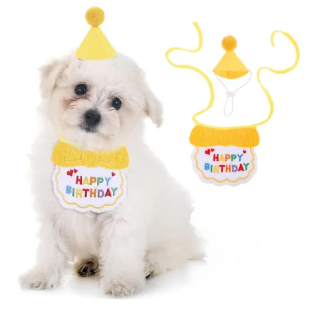 【派對焦點】韓系刺繡寵物生日圍兜+帽子2件套(寵物衣服 生日領巾 貓咪 狗 口水巾 生日帽 裝飾 慶生道具)
