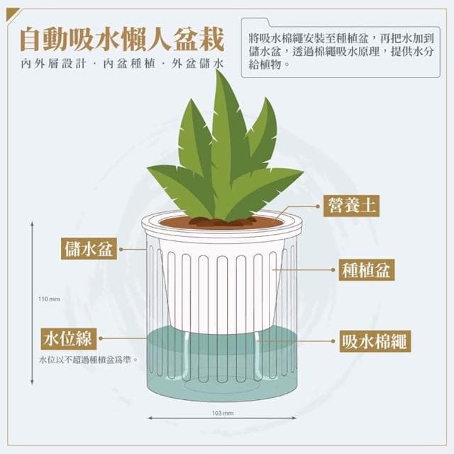 【巧繪網手創館】免澆水盆栽 圓盆(室內植物 觀葉植物 禮物 辦公室小物)