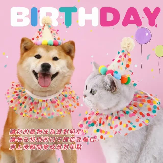 【快樂犬】寵物生日圍兜帽子套裝(派對 活動 毛孩 貓狗用品 圍脖 頭飾 彩球 多巴胺 拍照 道具 寫真 禮物)