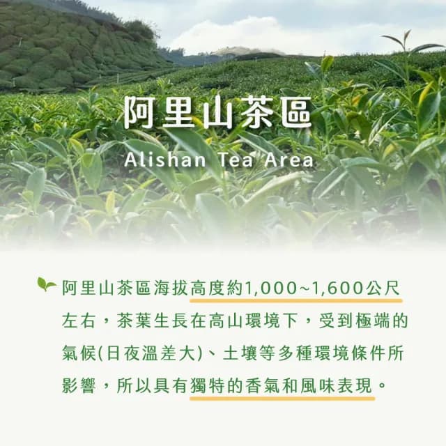 【茶曉得】阿里山嫩芽鮮採烏龍茶葉(150gx4包-1斤 春茶)