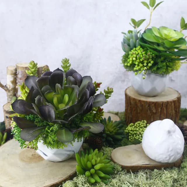 【HUGO DECO 榆果傢飾】黑法師多肉香氛盆栽(擬真植物/人造盆栽/綠化/佈置/禮物)