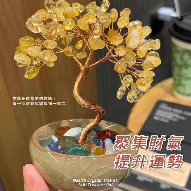 【聚財】發財水晶生命樹聚寶盆(開業 喬遷 風水 搖錢樹 玄關 招財 禮物 桌面擺飾 辦公桌 客廳 招財樹)