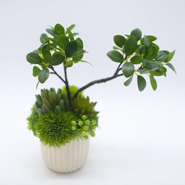 【HUGO DECO 榆果傢飾】榕樹下的禪學 綠植款香氛盆栽(擬真植物/人造盆栽/綠化/佈置/禮物)