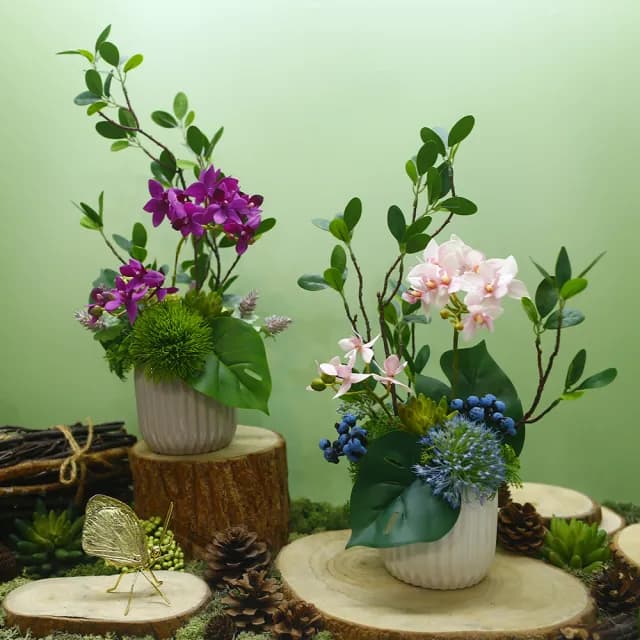 【HUGO DECO 榆果傢飾】雅緻桃紅蝴蝶蘭榕枝香氛花禮(擬真植物/人造盆栽/綠化/佈置/禮物)