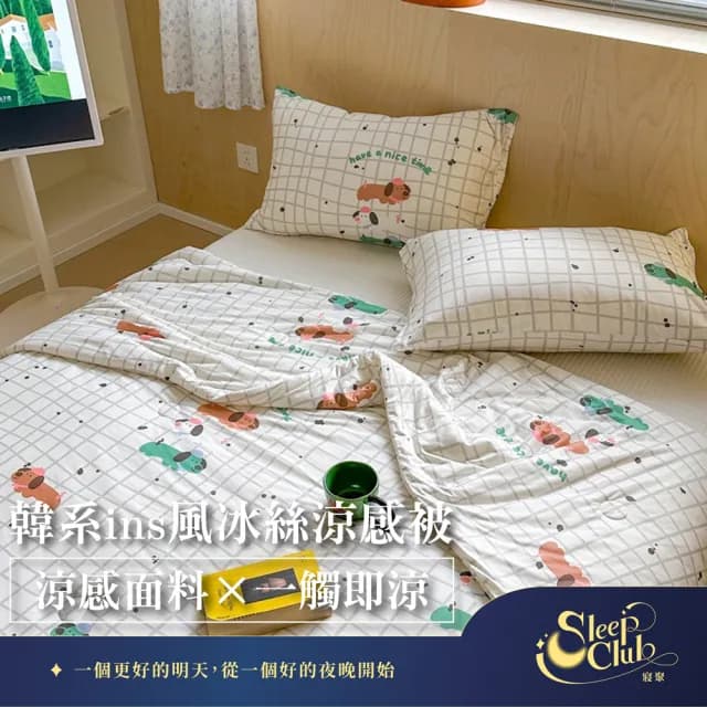 【Sleep Club】買一送一 韓系ins風冰絲涼感被 冰冰被 四季被(涼被 涼感被 夏被 韓國涼被 空調被 雙人被) 涼