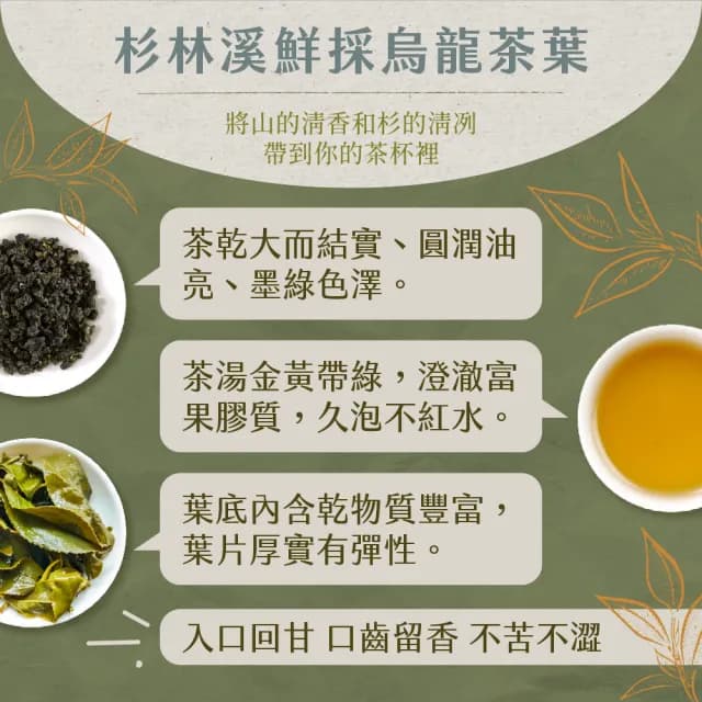 【名池茶業】杉林溪嚴選鮮採香韻烏龍茶150gx12包(杉香/蜜香)