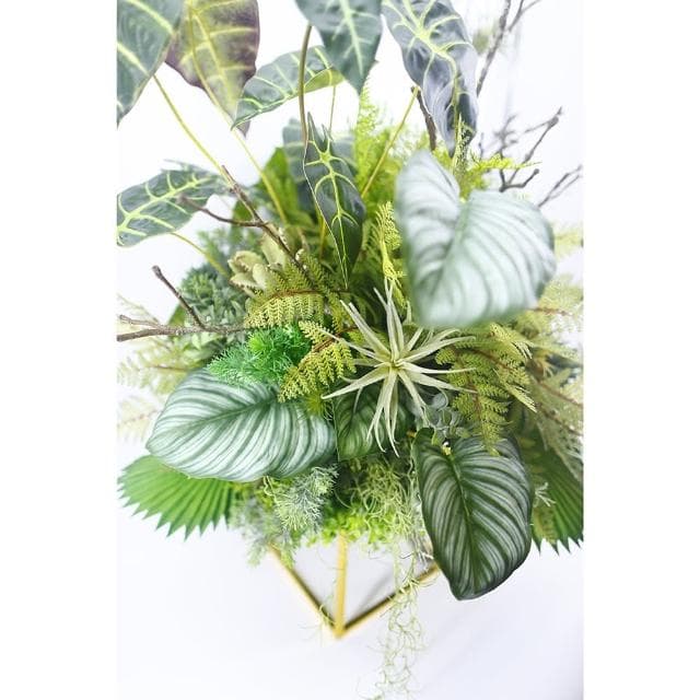 【HUGO DECO 榆果傢飾】高擬真觀葉植物裝置  免運專人配送限雙北市(開幕/擬真花/佈置/新居落成/送禮)