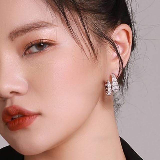 【LEEHER】蛇形耳環/s925銀針/耳環/女生耳環/耳環女/鋯石耳環/小耳環/法式耳環/生肖/耳釘/創意/