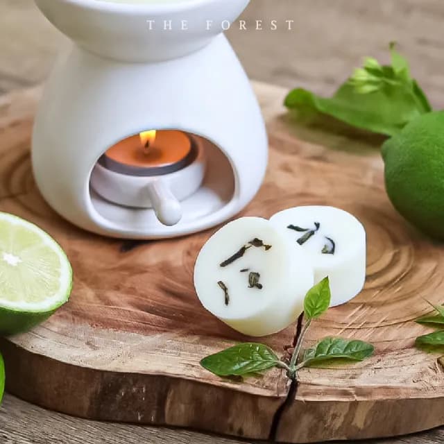 【The Forest 癒森林】四季春香氛蠟塊4入組23g*4 檸檬+茶香+茉莉(香氛蠟燭/香氛/香氛蠟塊/融蠟燭燈)