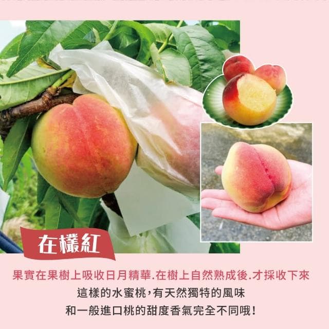 【初品果】拉拉山水蜜桃禮盒2盒 (10顆/盒) 2.4kg 產地直送 五月桃 媽媽桃 季節限定 企業送禮