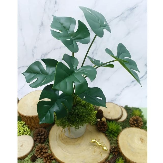 【HUGO DECO 榆果傢飾】擬真龜背芋 電信蘭香氛植栽 高款(擬真植物/人造盆栽/綠化/佈置/禮物)