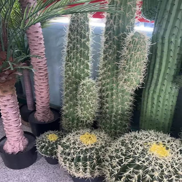 【POKO】仿真景觀仙人掌 高仿真 40公分 大型盆栽(人造植物 景觀室內外裝飾 人工植物 家居 園藝 裝飾造景)