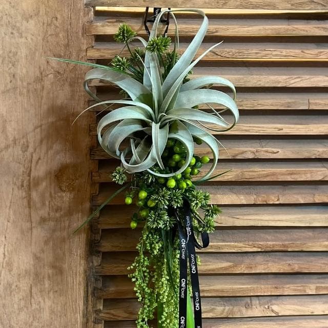 【CNFlower 西恩】豐綠盈夏-空氣鳳梨 端午掛飾(鮮花/端午禮盒/企業送禮)
