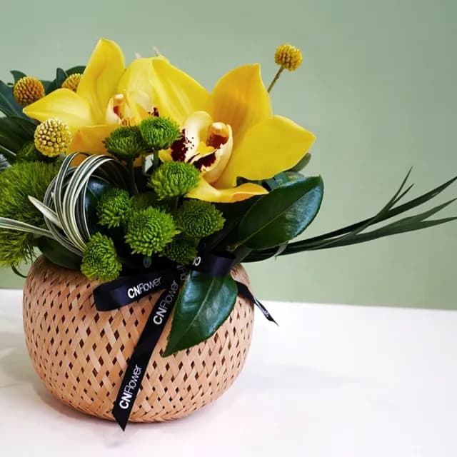 【CNFlower 西恩】端午節限定 沁黃蘭夏 小盆花(送禮推薦/鮮花/端午送禮)