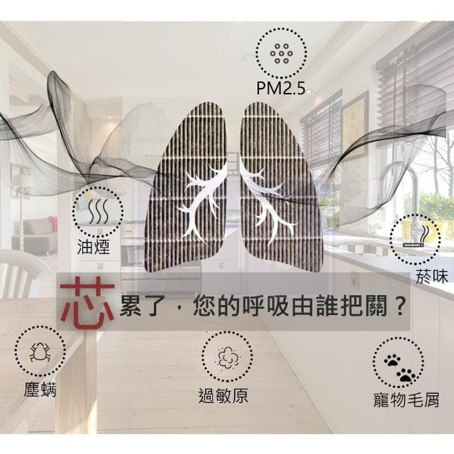 【PUREBURG】適用Delta台達電VEB150AT3 / VEB250AT3全熱交換機 全熱交換器空氣淨化箱 濾網組