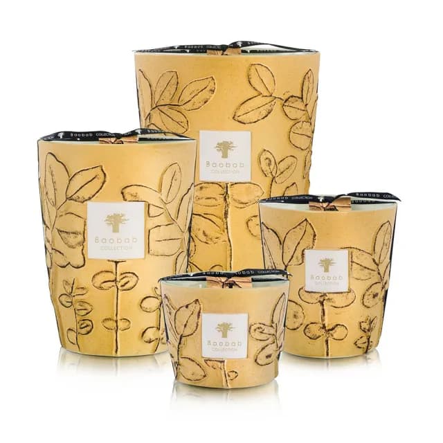 【Baobab Collection】香氛蠟燭1100g Garrigue/Folia 松葉之森