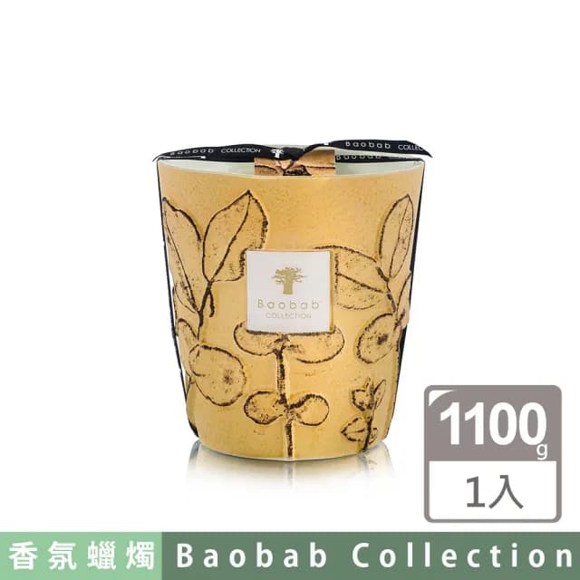 【Baobab Collection】香氛蠟燭1100g Garrigue/Folia 松葉之森