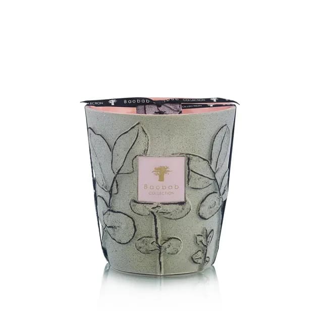 【Baobab Collection】香氛蠟燭1100g Maquis/Folia 灌木叢林
