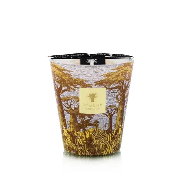 【Baobab Collection】香氛蠟燭1100g Cocody /Sacred Trees Summer 可可森林