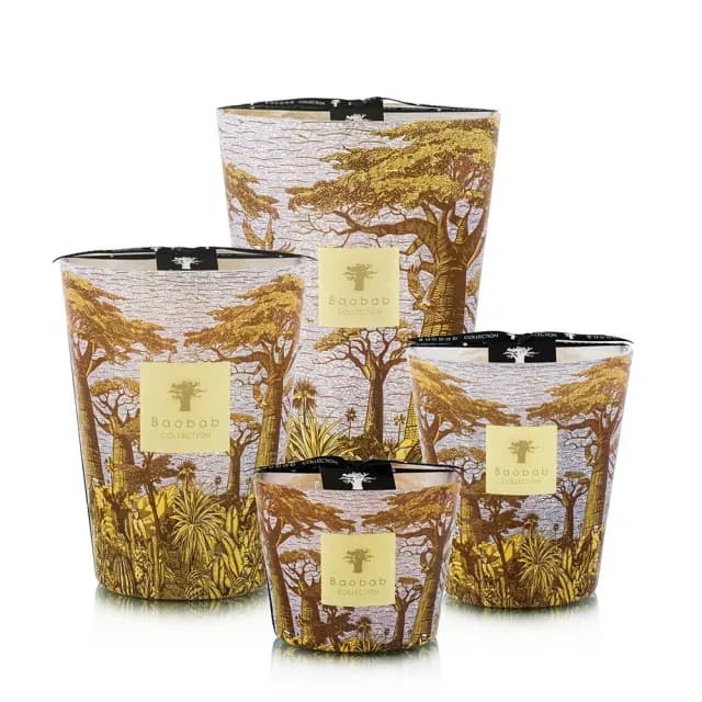 【Baobab Collection】香氛蠟燭1100g Cocody /Sacred Trees Summer 可可森林