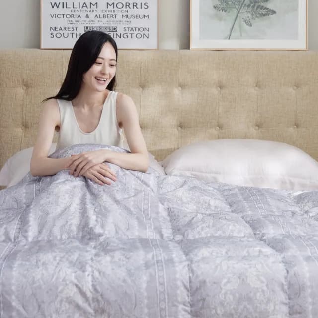 【HEALTH LIFE 合隆羽藏】羽絨の夏眠被(可水洗)
