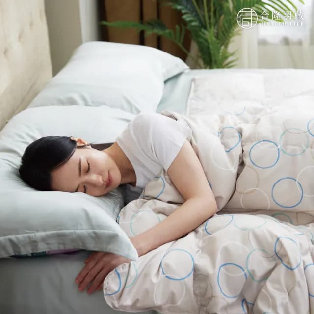 【HEALTH LIFE 合隆羽藏】羽絨の夏眠被(可水洗)
