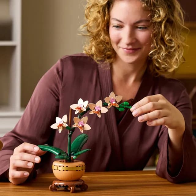 【LEGO 樂高】Botanicals 10343 迷你蘭花(居家擺設 花藝植栽 節慶禮物 玩具模型 母親節)