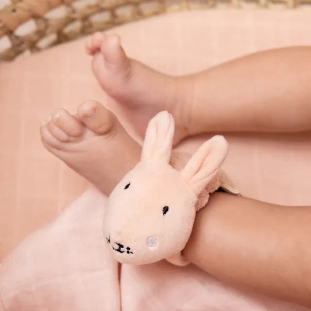 【Trixie 比利時】動物造型手腕搖鈴 多款可選(安撫玩具 彌月禮)