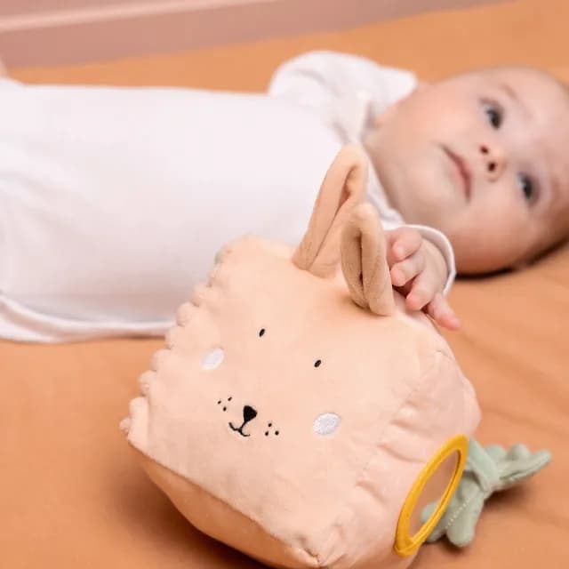 【Trixie 比利時】動物造型感統方塊玩偶 多款可選(感統玩具 彌月禮)