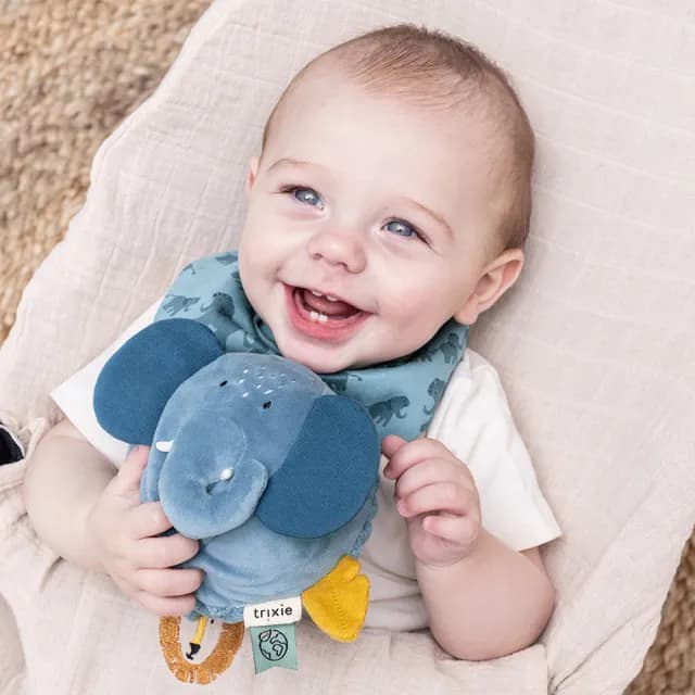 【Trixie 比利時】動物造型搖鈴布球 多款可選(安撫玩具 彌月禮)