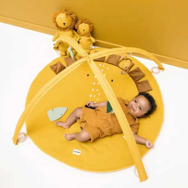 【Trixie 比利時】動物造型感統遊戲墊 多款可選(健力架 彌月禮)