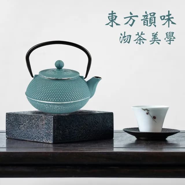 【EXCELSA】Oriented鑄鐵濾茶壺 綠松石800ml  / 茶具 煮茶壺 日式茶壺 燒水壺 鑄鐵茶壺