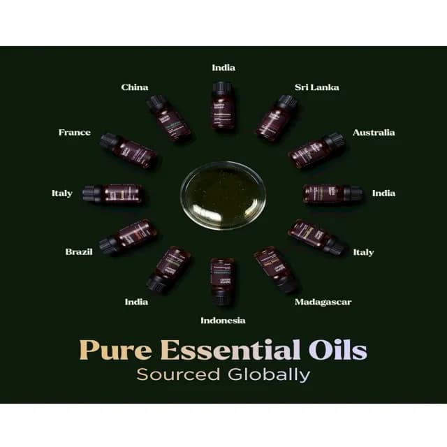 【美國Lagunamoon】超濃縮香薰純精油精裝套組禮贈盒12瓶/組(搭薰香擴香加濕器台芬芳香石泡澡按摩擴散香氣)