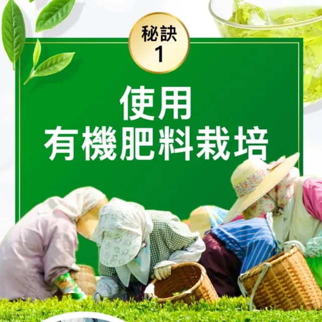 【美康櫻森】日本進口 靜岡掛川煎茶 綠茶包4包組 三角立體綠茶包3g*15入(嚴選上等茶 深蒸煎茶)