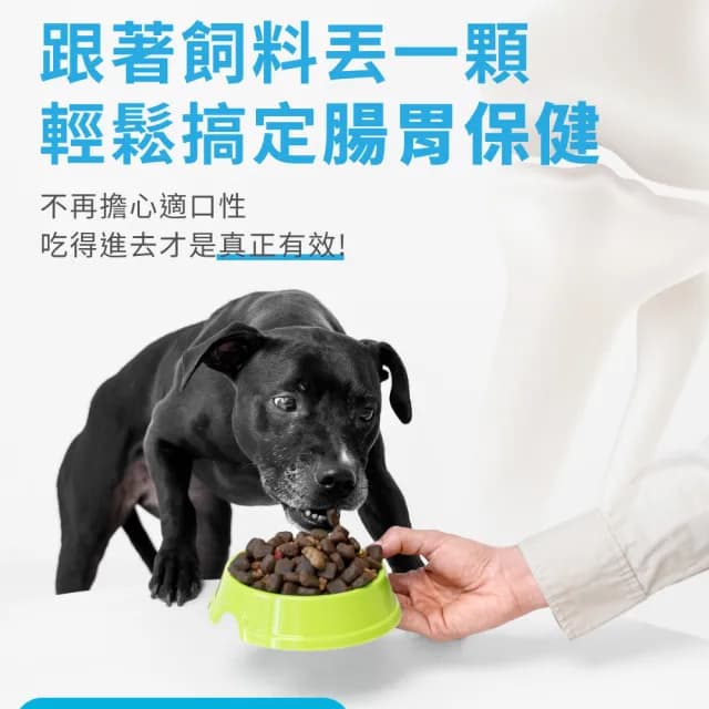 【OurPet 奧沛】犬用腸沛錠x2瓶(30顆、狗腸胃保健食品 寵物腸胃保養 益生菌 菊苣纖維 植物酵素 蘑菇)