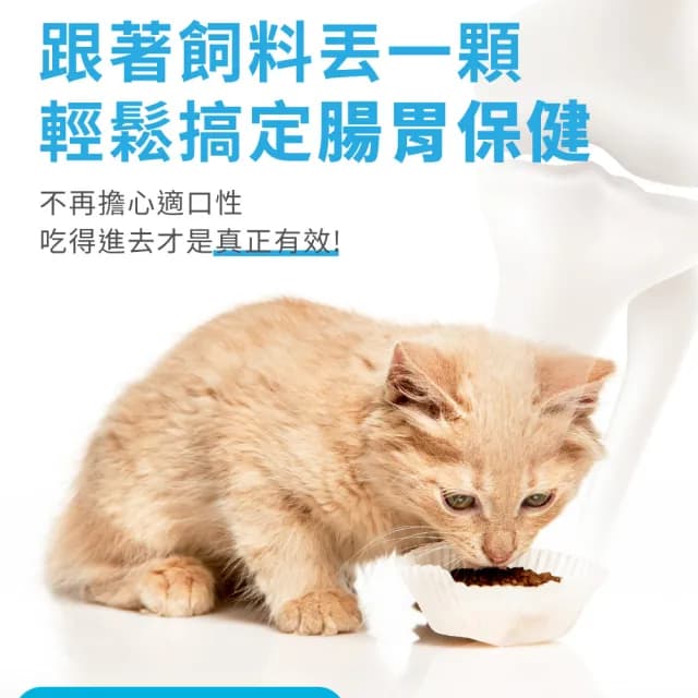 【OurPet 奧沛】貓用腸沛錠x5瓶(30顆、貓腸胃保健食品 寵物腸胃保養 益生菌 菊苣纖維 植物酵素 蘑菇)